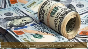 ارتفاع سعر الدولار مقابل الجنيه المصري 37 قرشاً في أسبوع واحد
